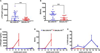 B Cell Depletion Eliminates FVIII Memory B Cells and Enhances AAV8-coF8 Immune Tolerance Induction When Combined With Rapamycin